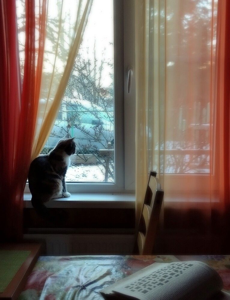 Photograph by Баглык Вячеслав