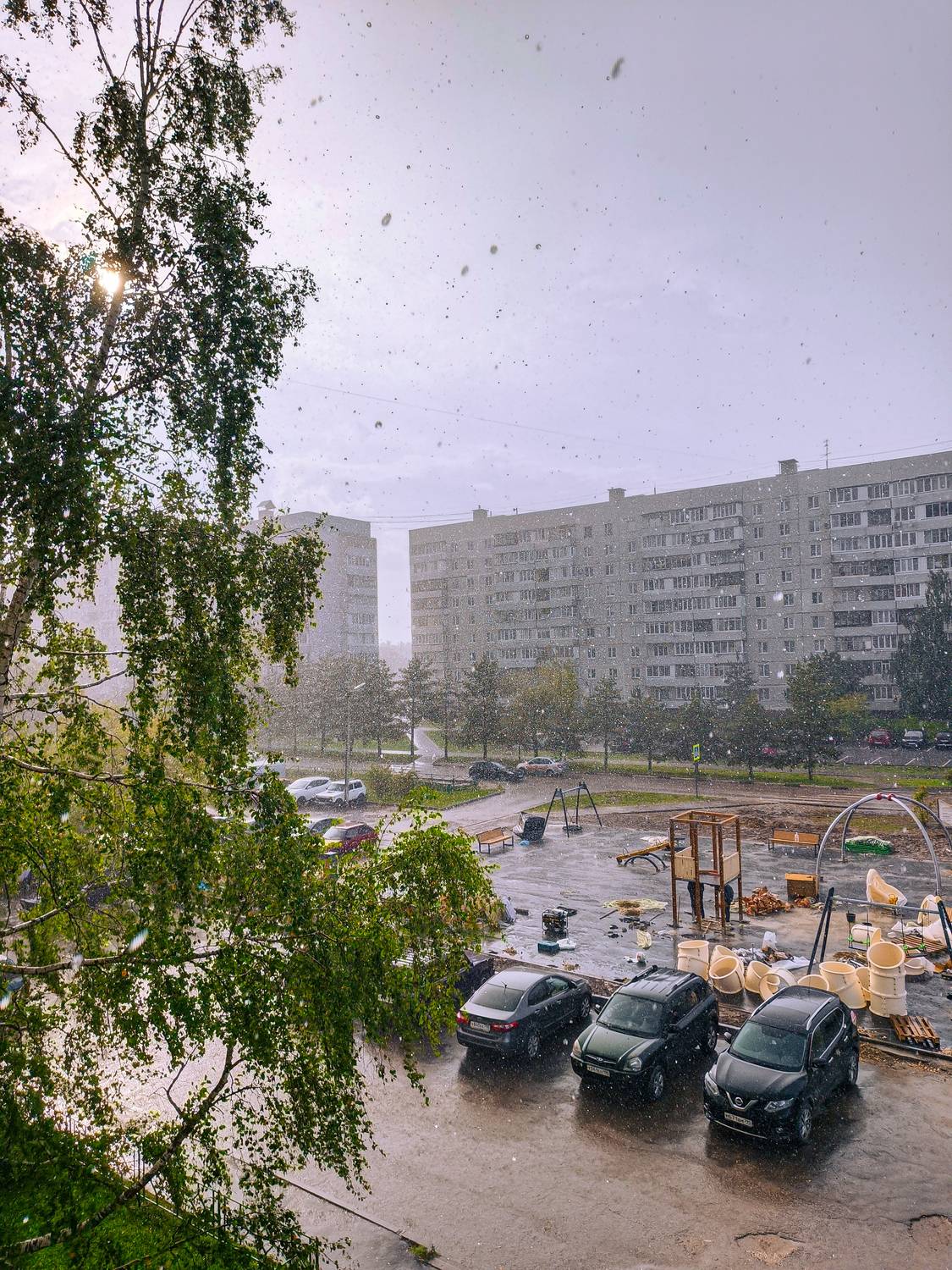 Photo #13539938