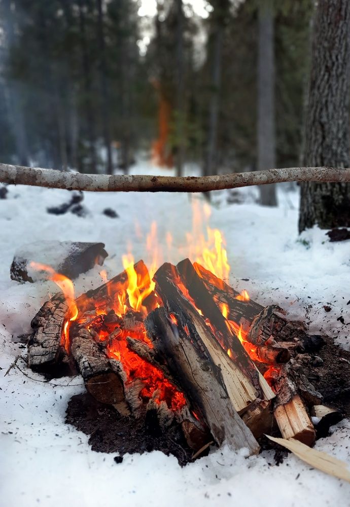 Живой огонь