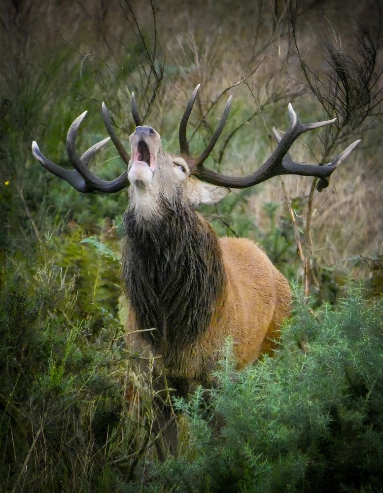 Photograph by Michael Gault