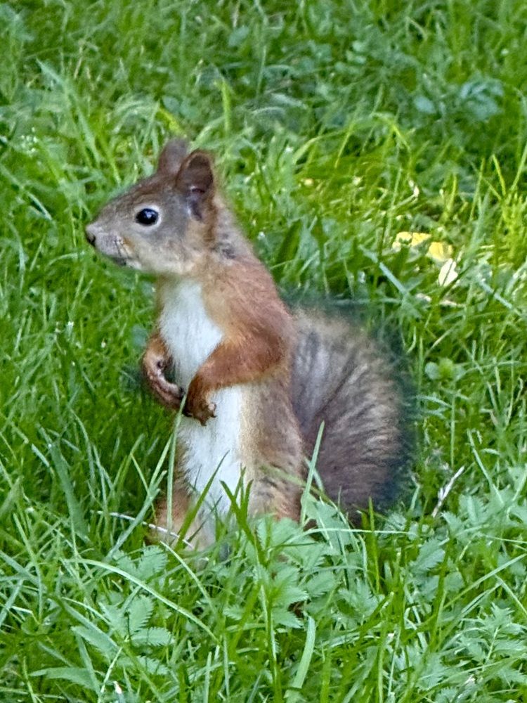 Photograph by Наталья Казачок