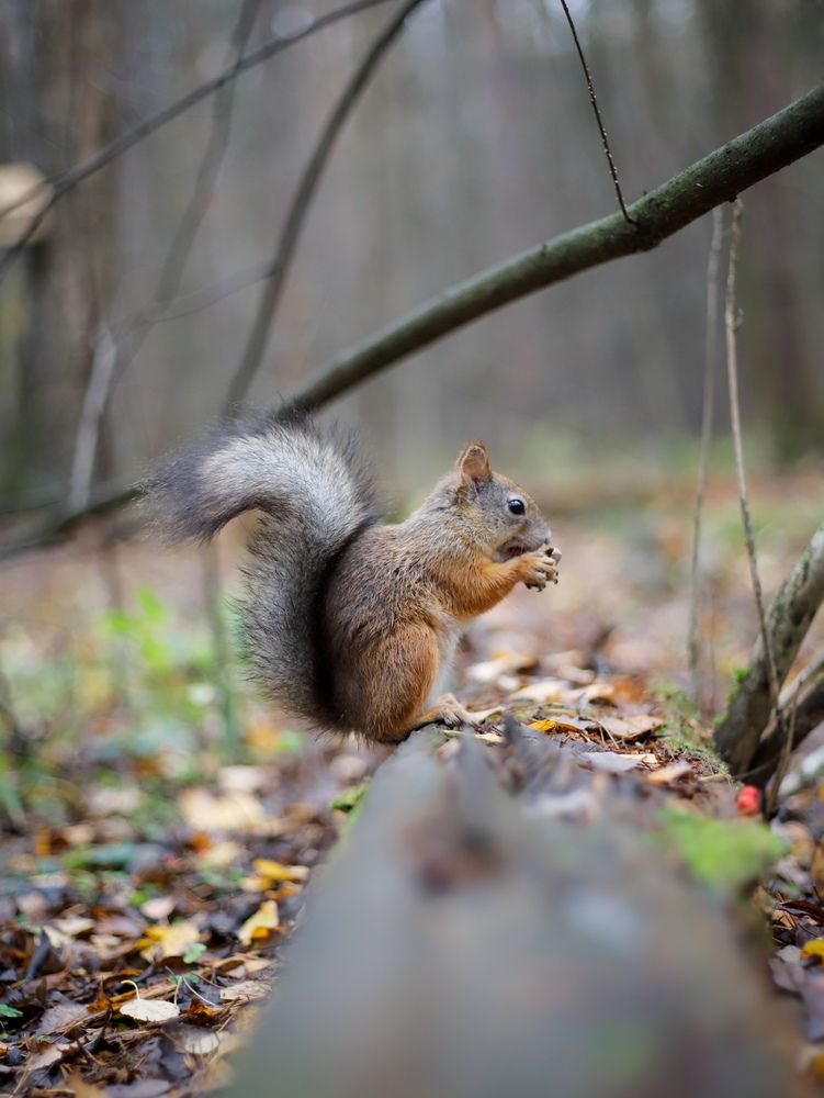 Photograph by Георгий Юркин