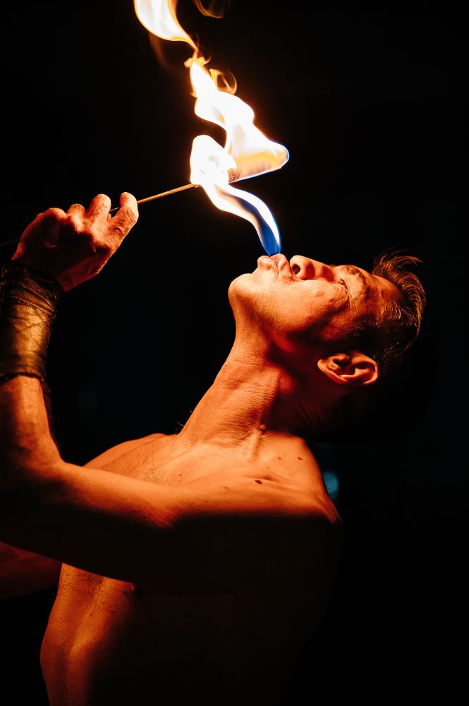 Photo #13540151