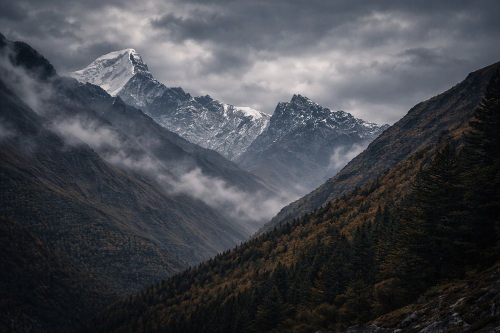 Photograph by PRADIP NANDI