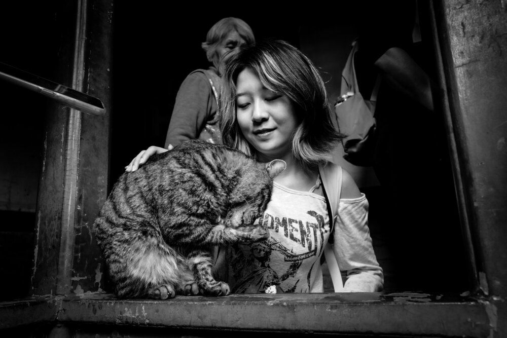 Girl and cat