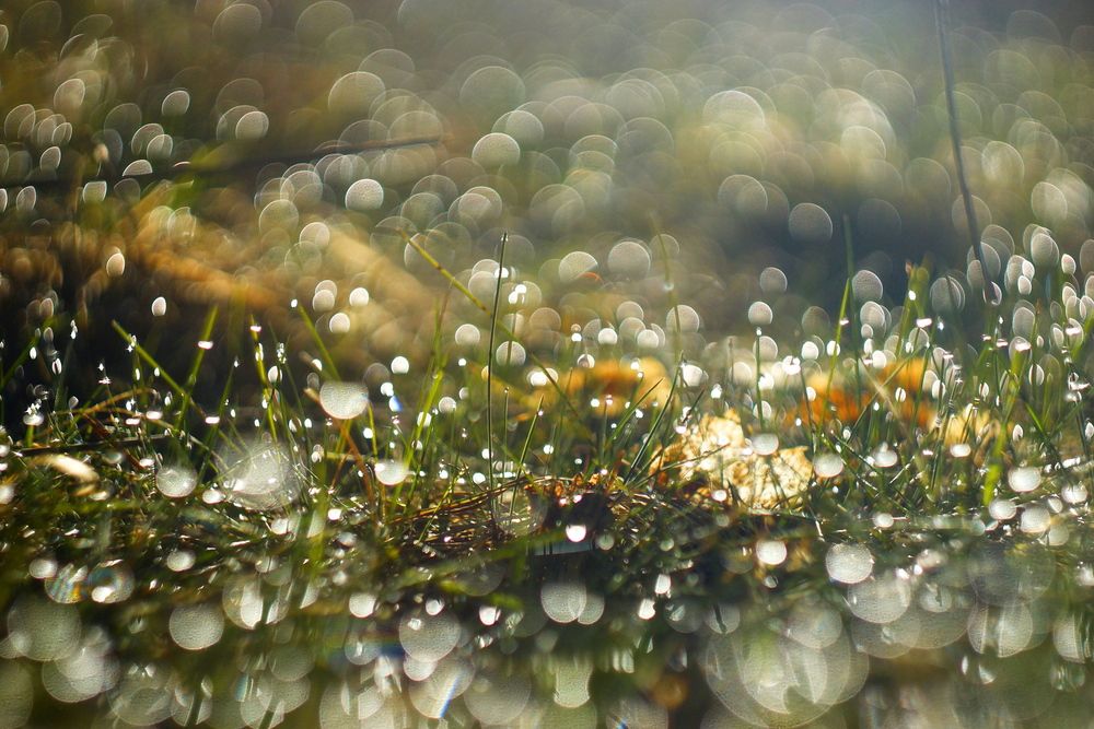 Photograph by Jevgeni Filimonov