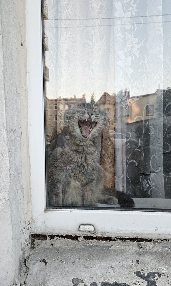 Photograph by Анастасия Свиридова