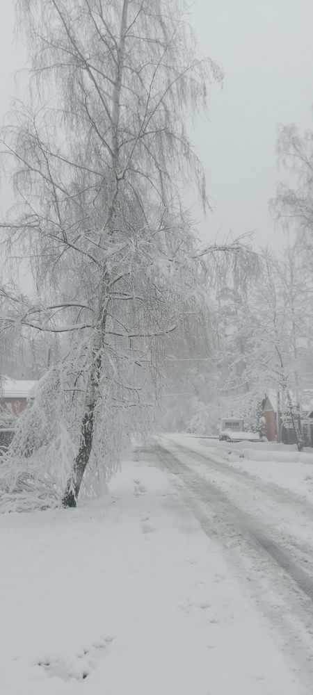 Photograph by Александр Евреинов