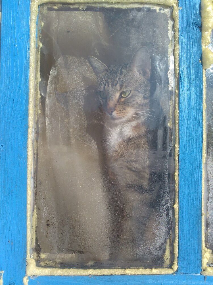 Photograph by Надежда Шурыгина