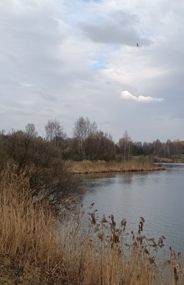 Свободный полёт над зеркалом вод
