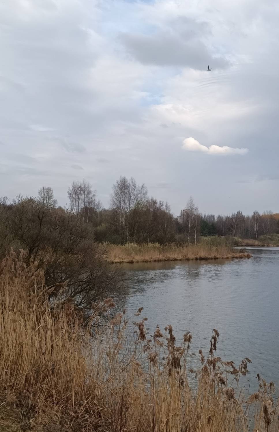 Свободный полёт над зеркалом вод