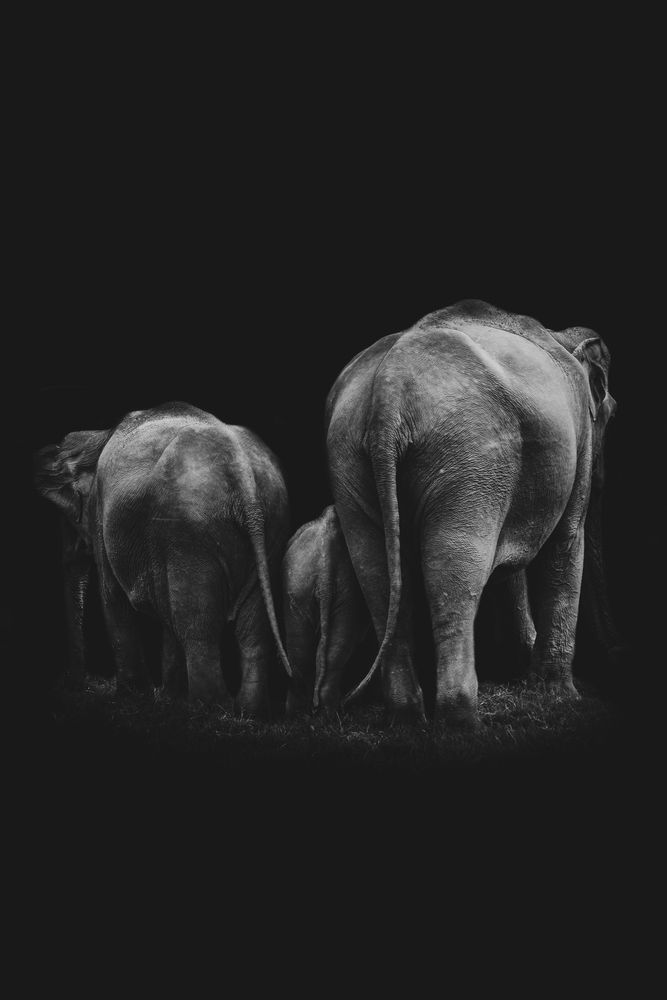 Photograph by Aurelien Forcard