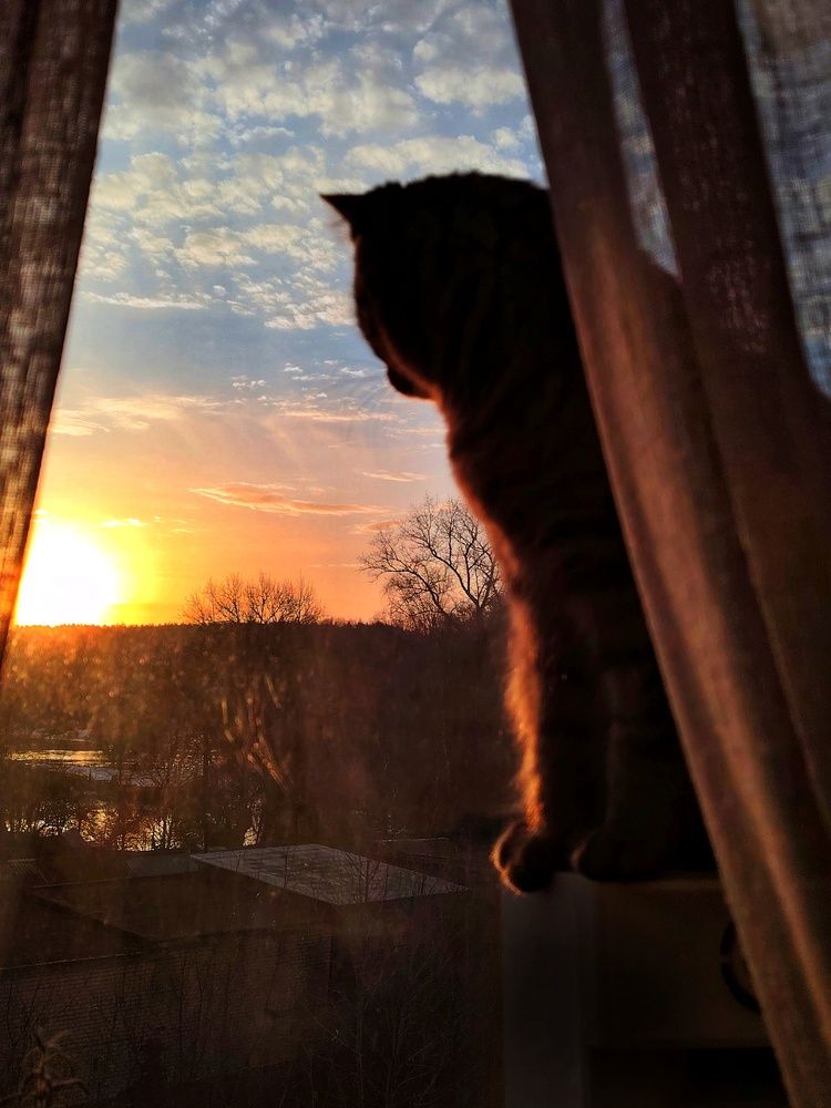 Photograph by Lyudmila Lebedeva