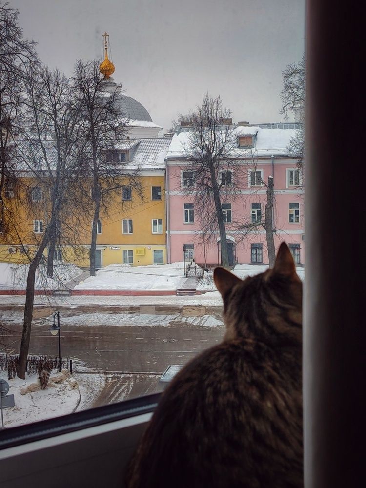 Photograph by Lyudmila Lebedeva