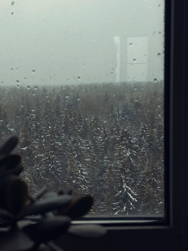 Photograph by Ольга Репина