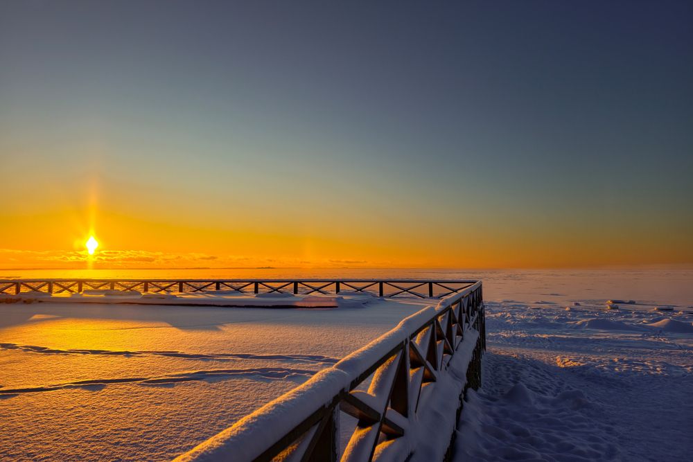 Photo #13541203