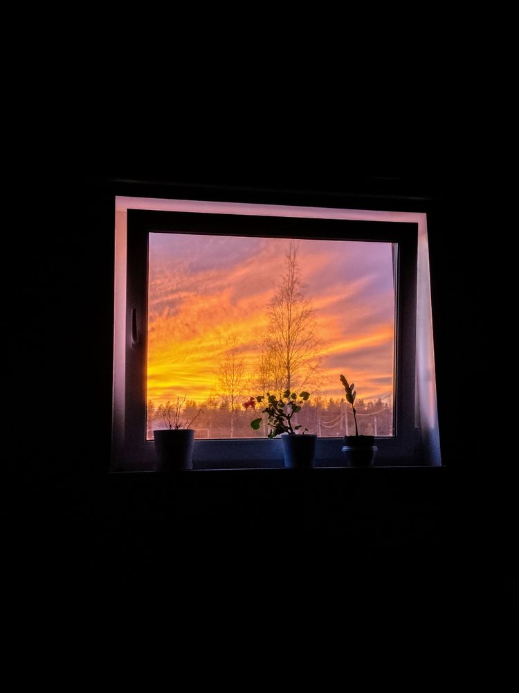 Photograph by Татьяна Бойцова