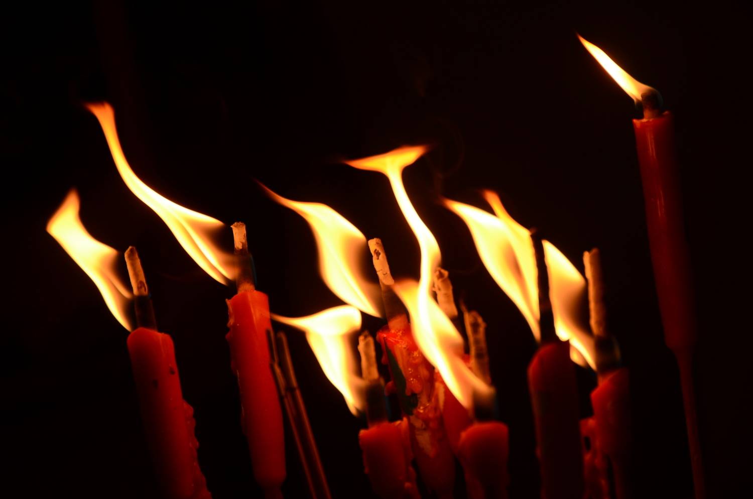 Photo #13541248