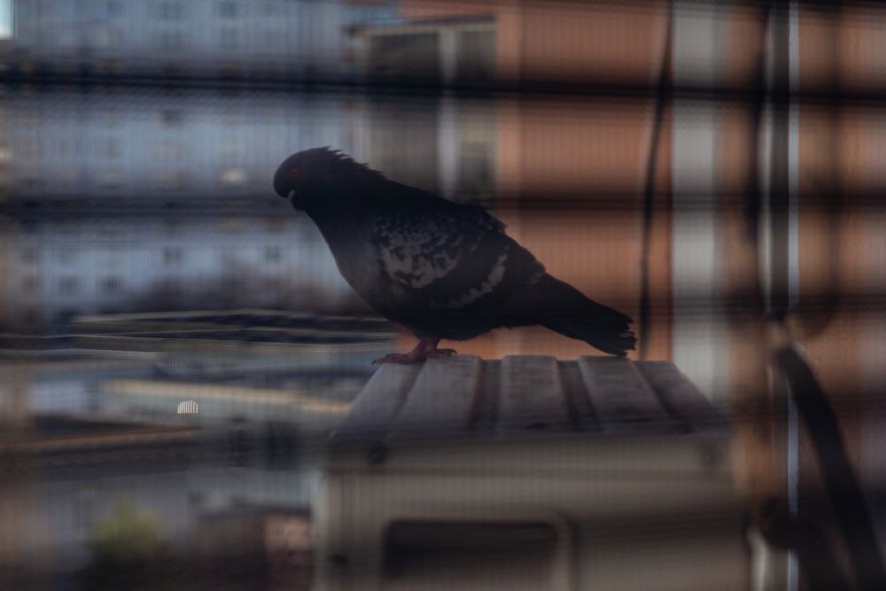 Photograph by Юрий Мокрицкий