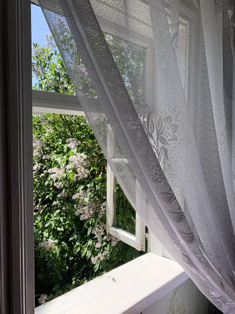 Photograph by Ирина Шпаковская
