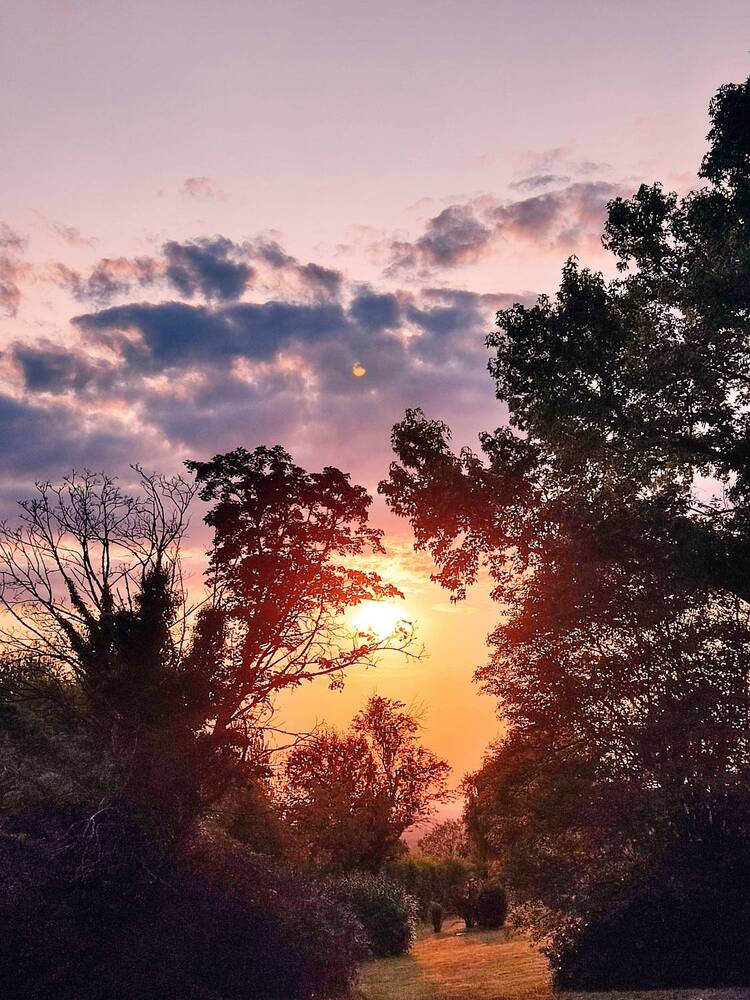 Photograph by Александр Ахоньков