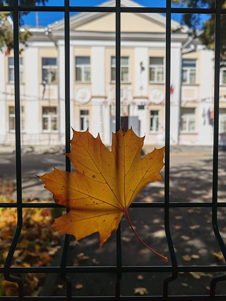 Photograph by Galya Zhdanova