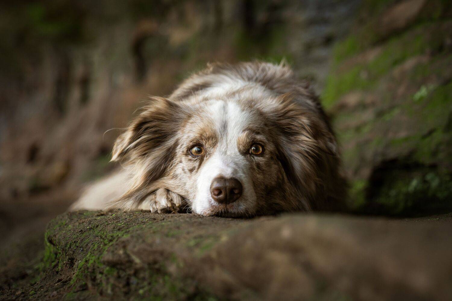 Quiet Thoughts