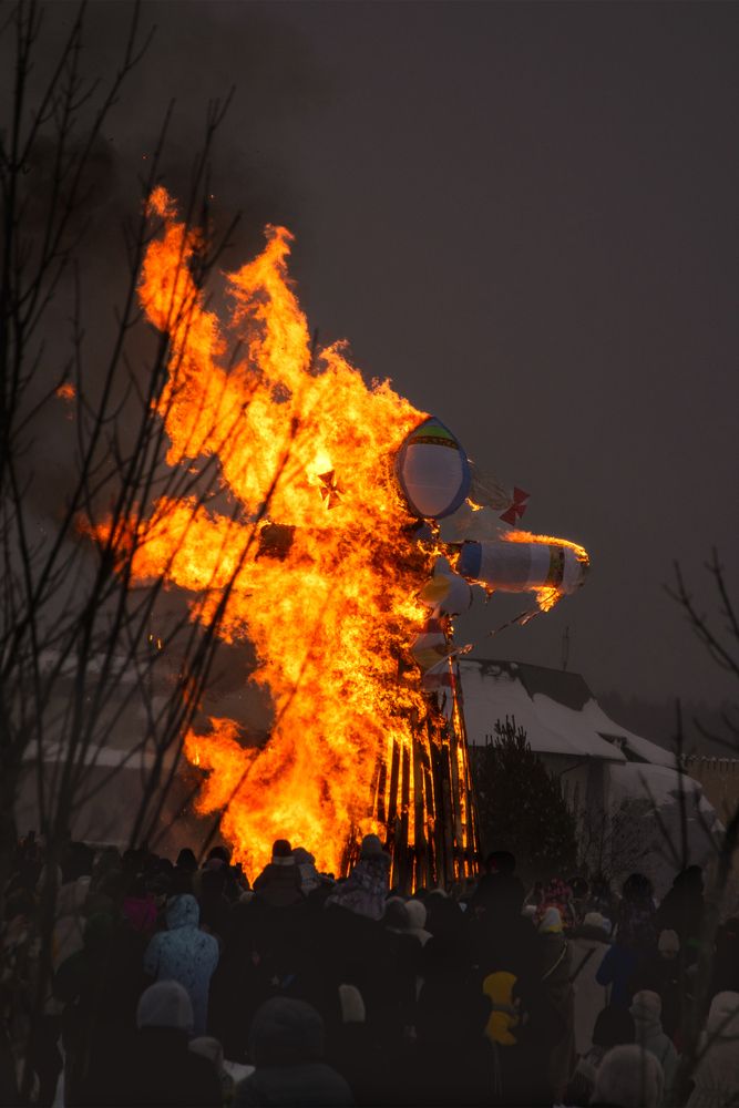 Photo #13542318