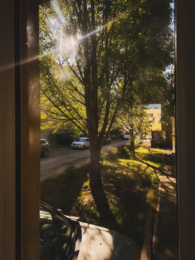Photograph by Наталья Мыкольникова