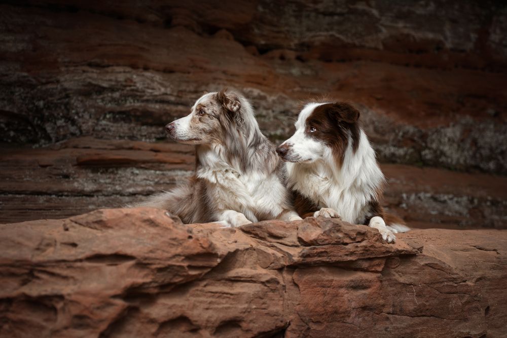 Together in Silence