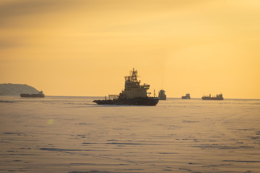 Photograph by Илья Беляев