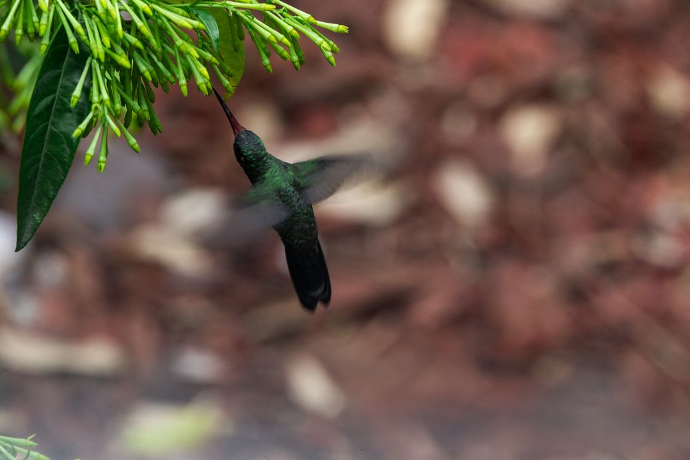 Photograph by Joaquin Silva