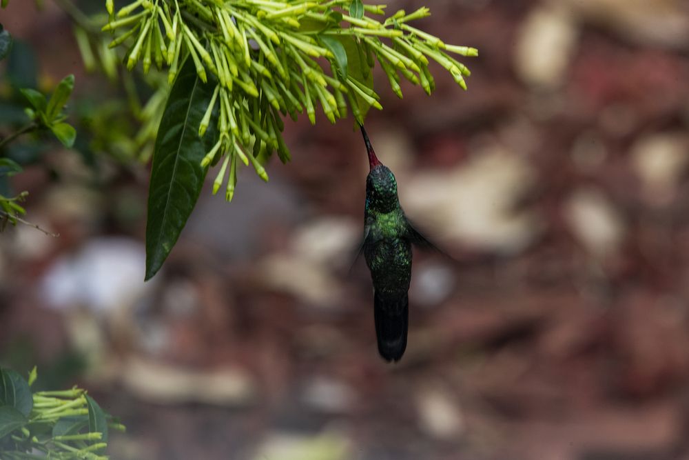 Photograph by Joaquin Silva