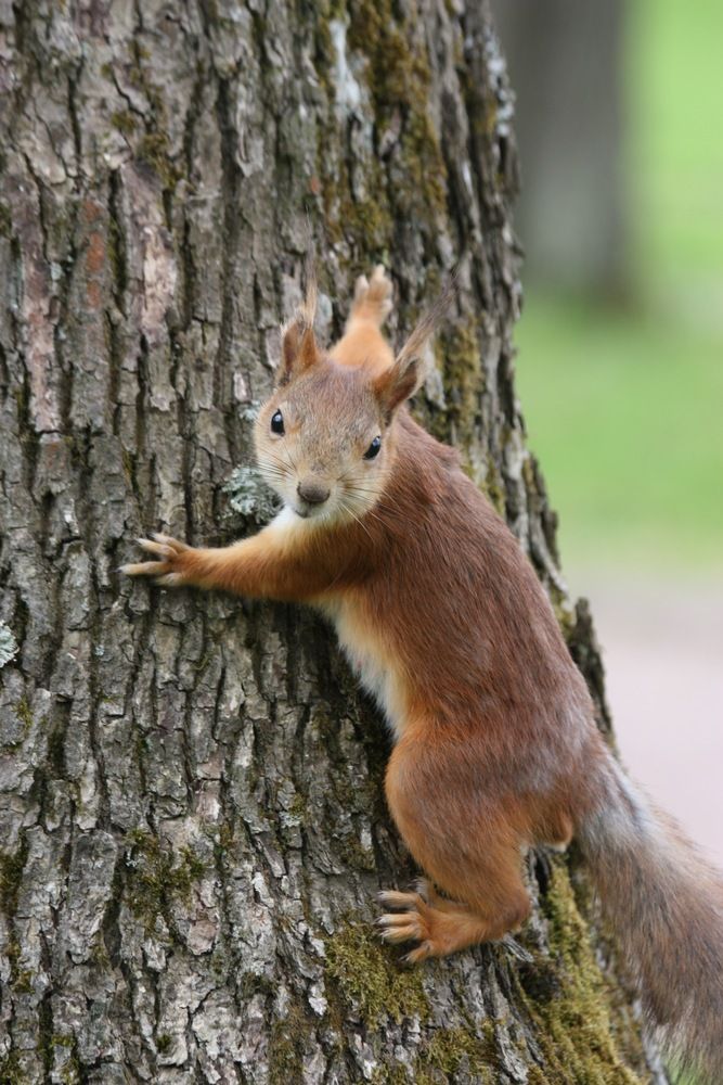 Photograph by Елена Смирнова
