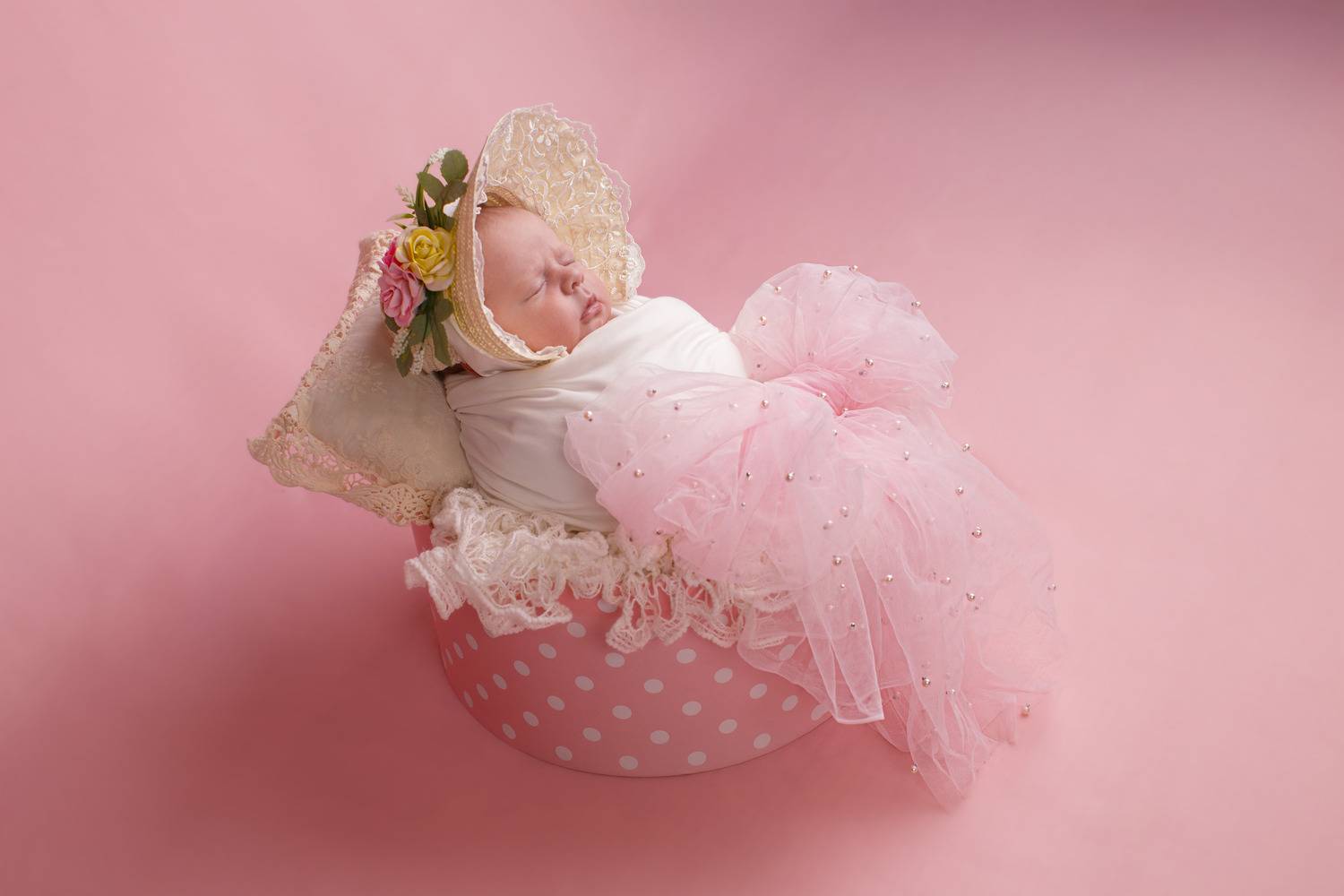 Photo #13542826