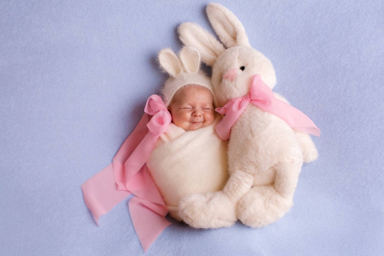 Photo #13542848