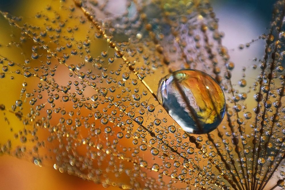 Photograph by Lapshina Vladlena
