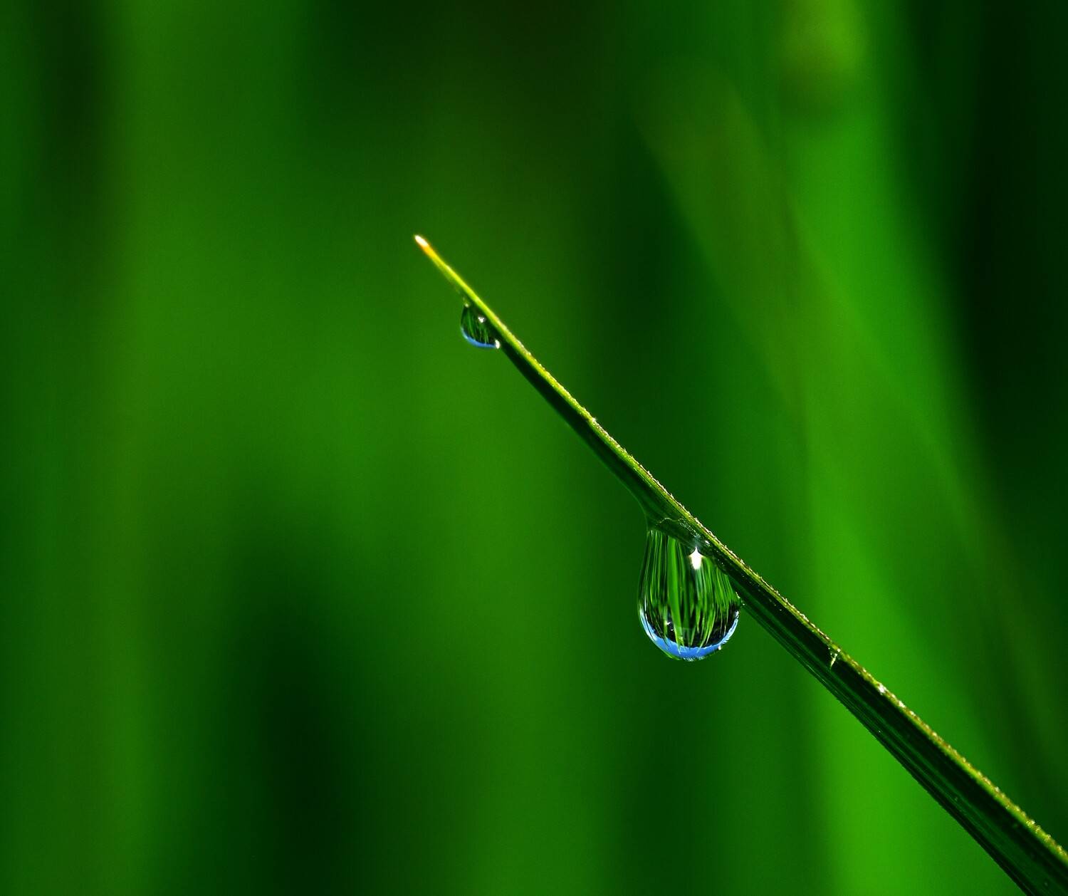 Emerald Drop