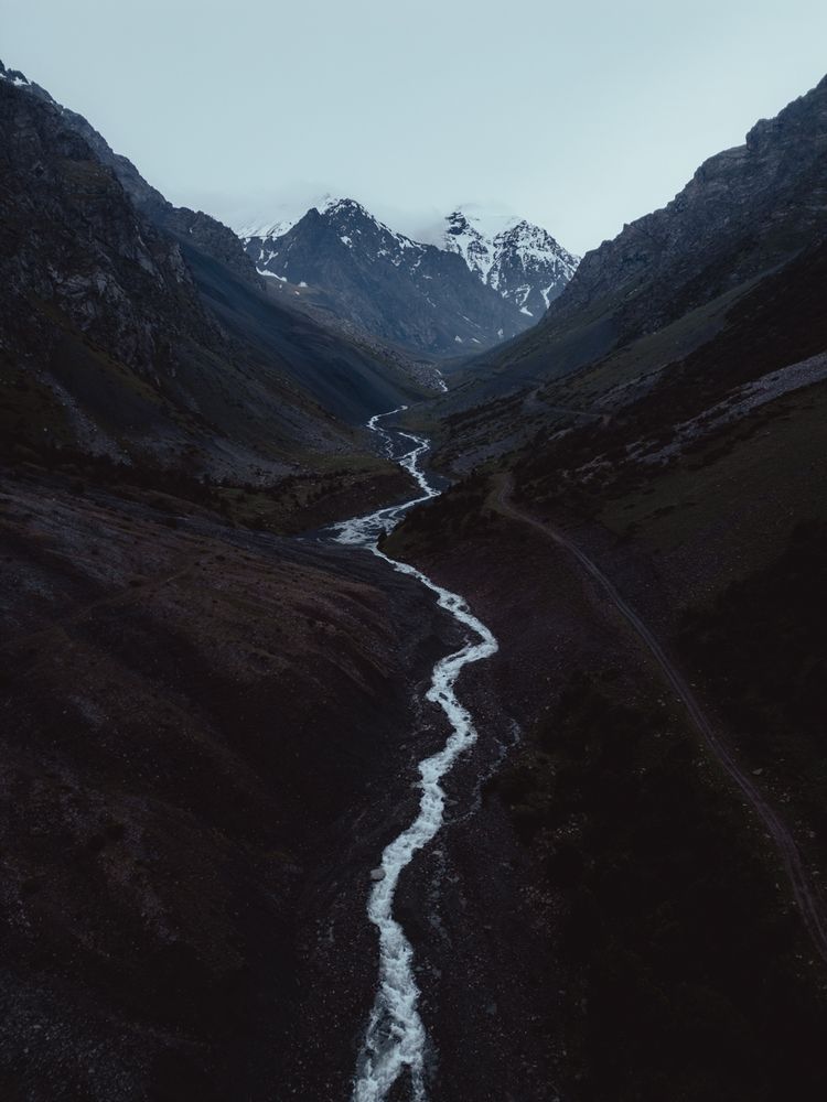 Photograph by Brian Robinson