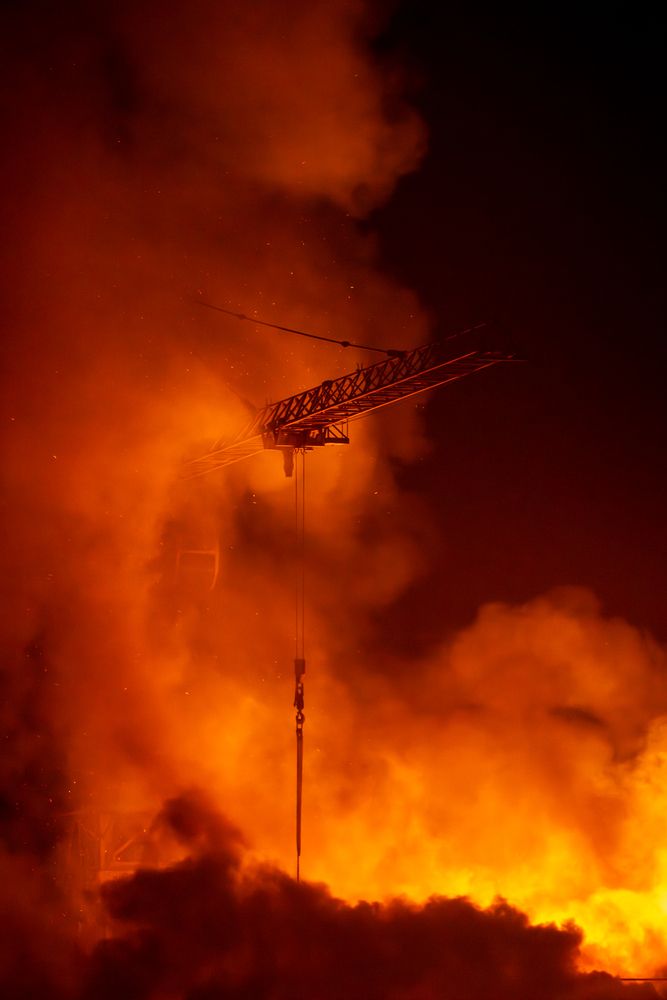 Photograph by Brian Robinson