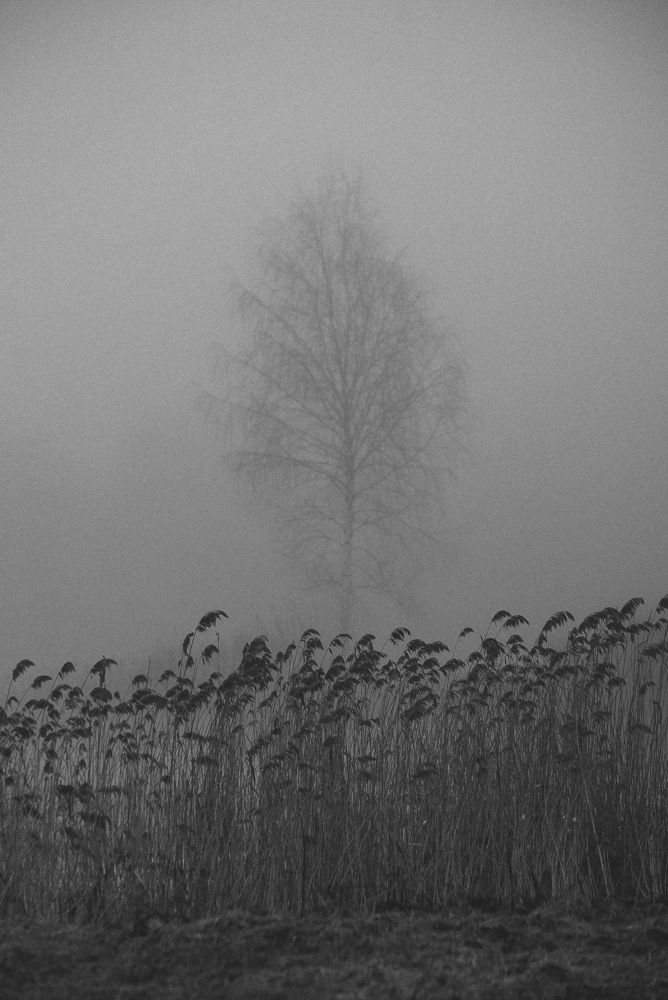 Photograph by Valeria Azamat