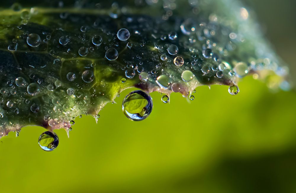 Photograph by Наталья Соколова