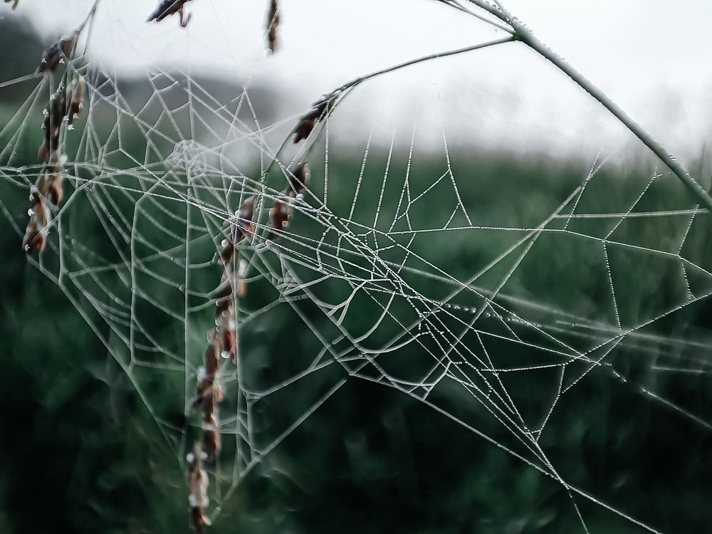 Photograph by Ирина Романовская