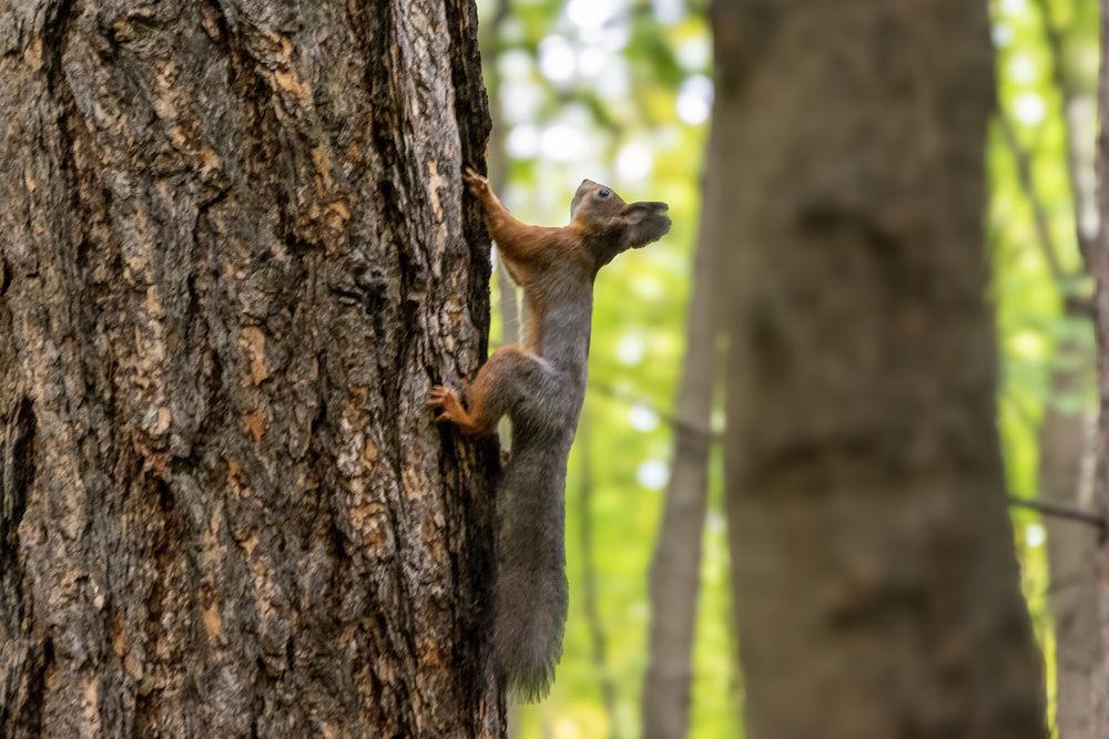 Photograph by Александр Порохов