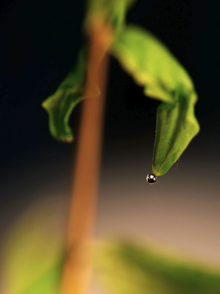 Photograph by Михаил Медведев
