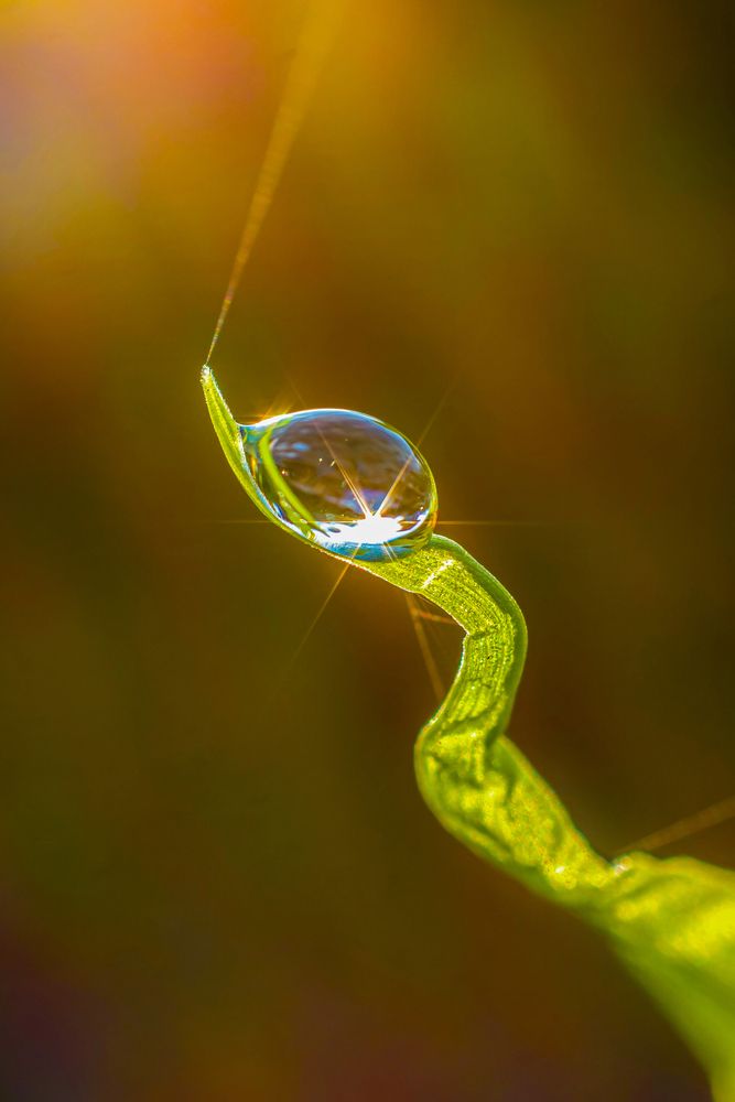 Photograph by kietbull
