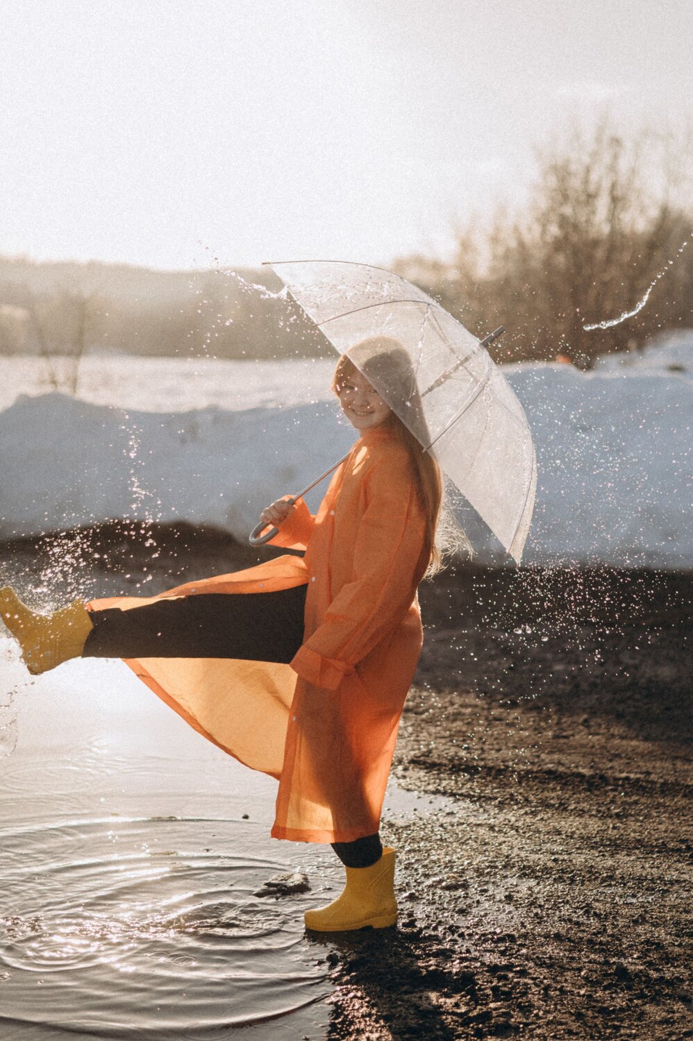 Photo #13543344