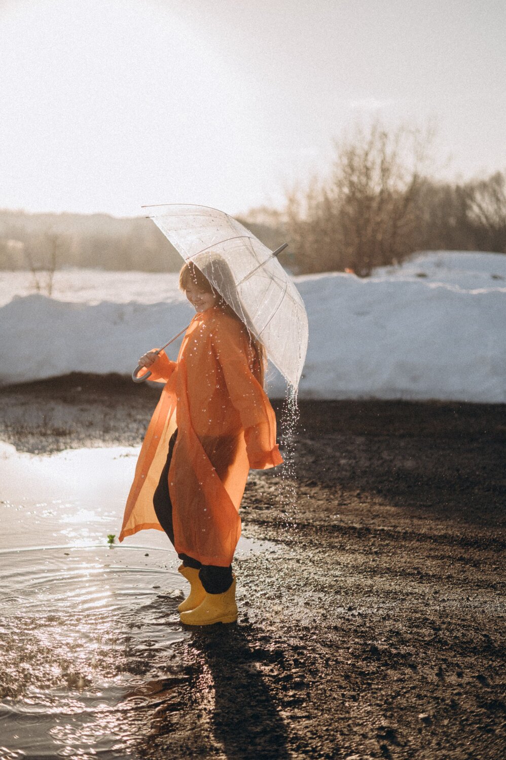 Photo #13543345