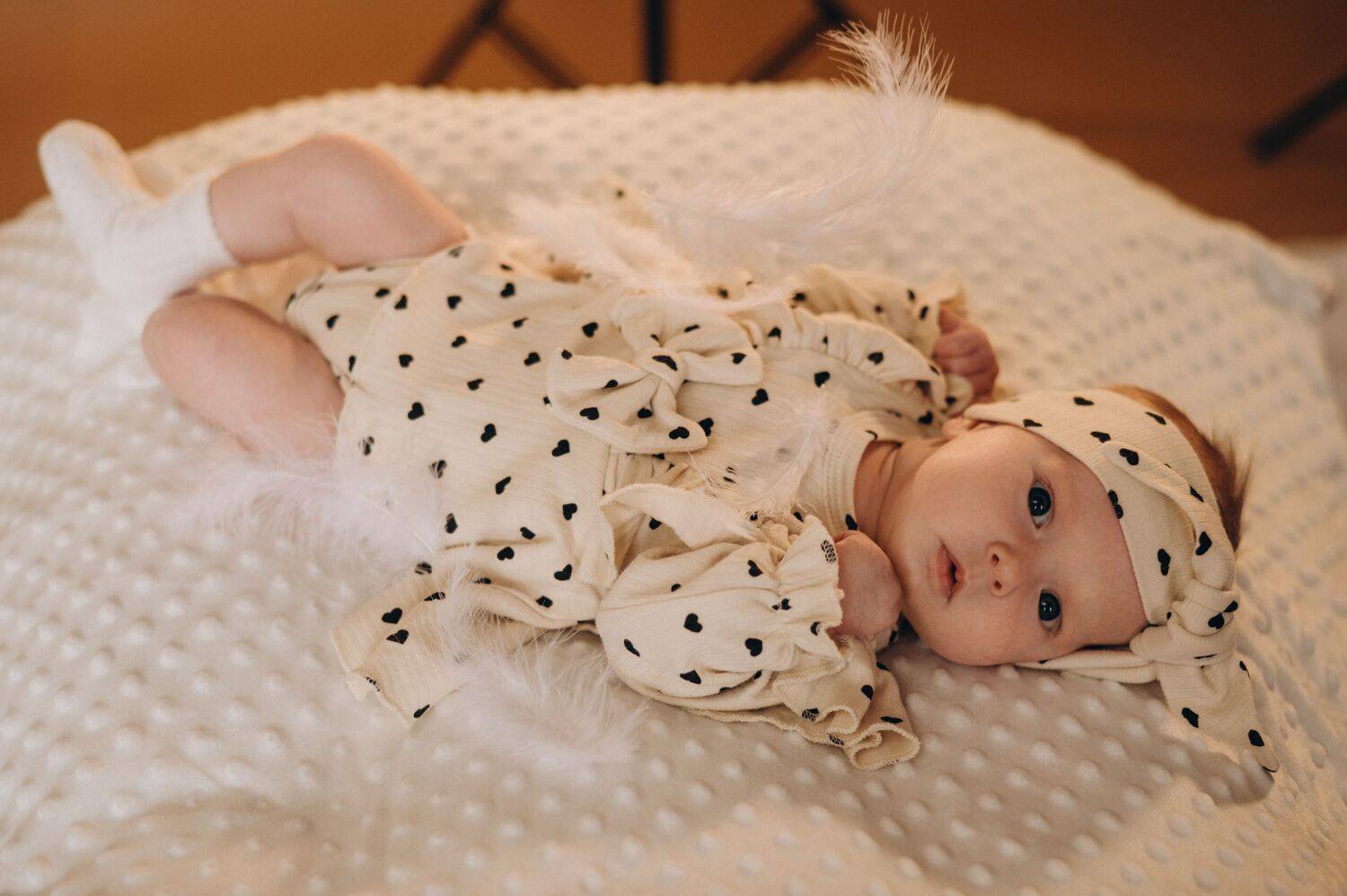 Photo #13543349