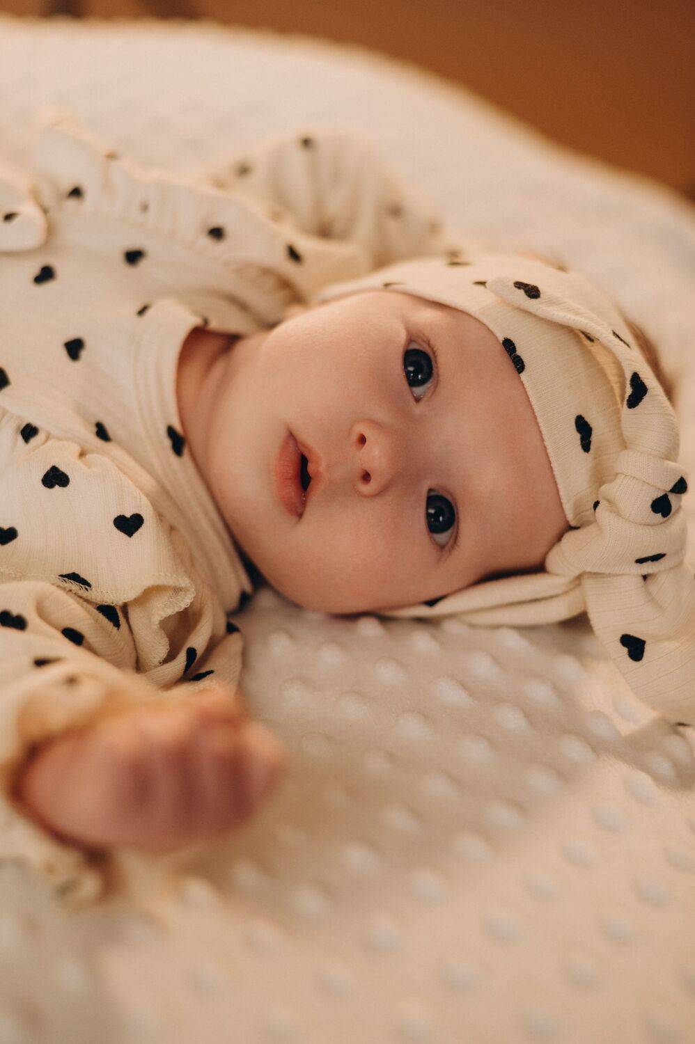 Photo #13543350